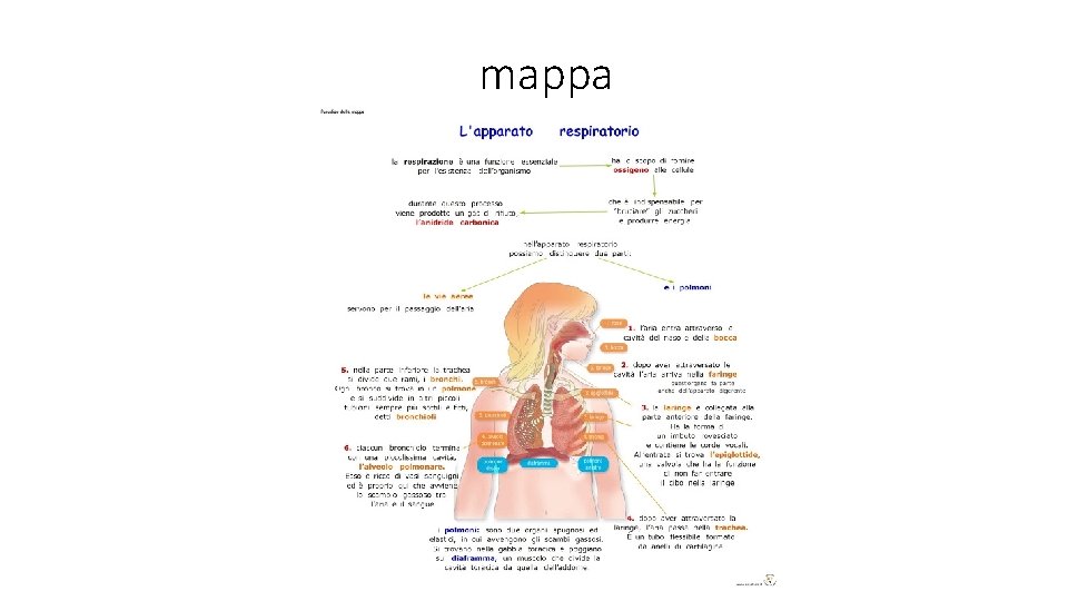 mappa 