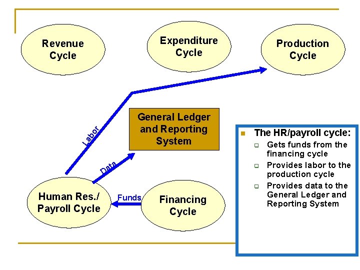 Expenditure Cycle Revenue Cycle La bo r General Ledger and Reporting System ta a