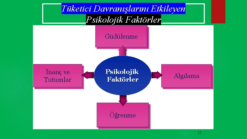 Tüketici Davranışlarını Etkileyen Psikolojik Faktörler Güdülenme İnanç ve Tutumlar Psikolojik Faktörler Algılama Öğrenme 15