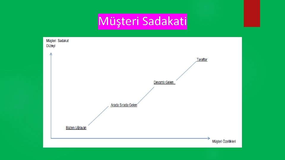 Müşteri Sadakati 