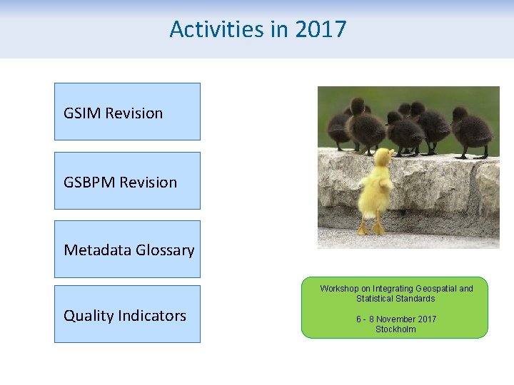 Activities in 2017 GSIM Revision GSBPM Revision Metadata Glossary Workshop on Integrating Geospatial and