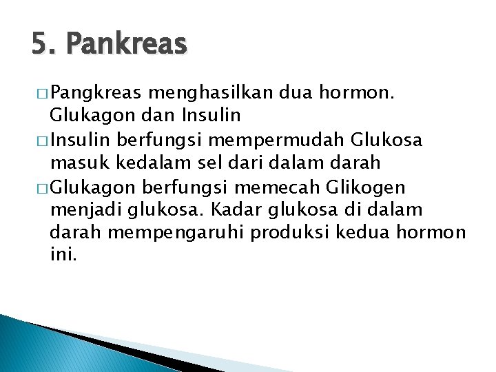 5. Pankreas � Pangkreas menghasilkan dua hormon. Glukagon dan Insulin � Insulin berfungsi mempermudah