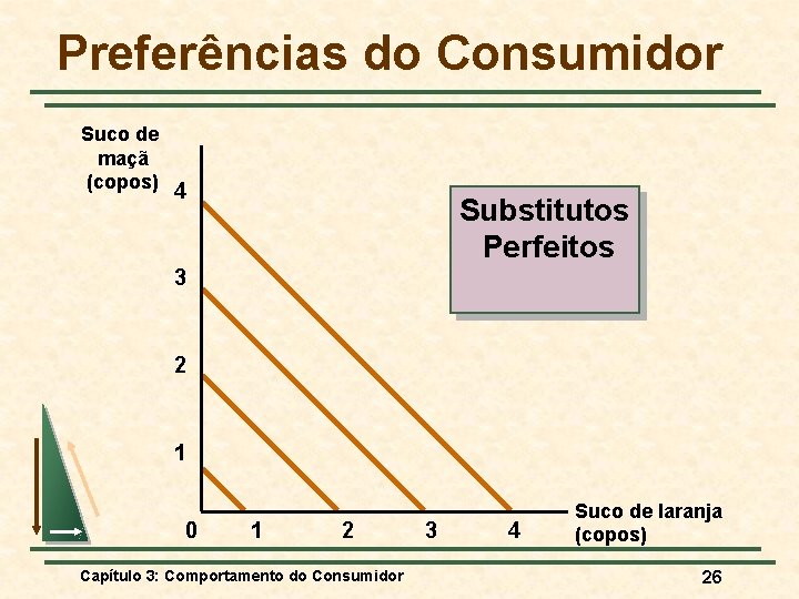 Preferências do Consumidor Suco de maçã (copos) 4 Substitutos Perfeitos 3 2 1 0