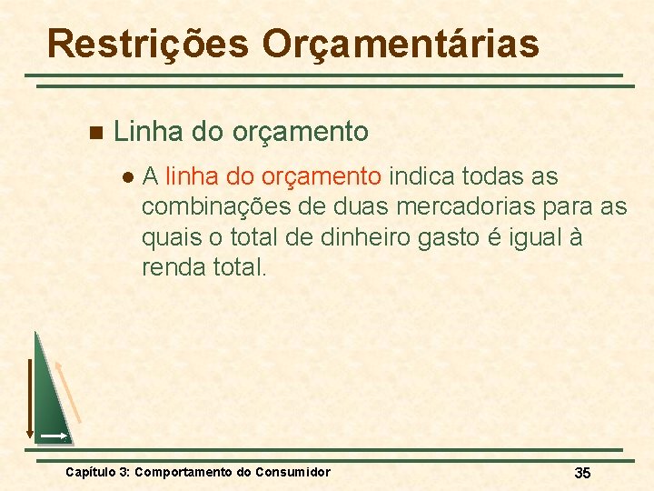 Restrições Orçamentárias n Linha do orçamento l A linha do orçamento indica todas as