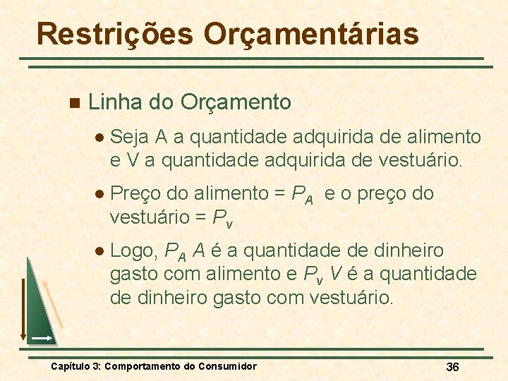 Restrições Orçamentárias n Linha do Orçamento l Seja A a quantidade adquirida de alimento