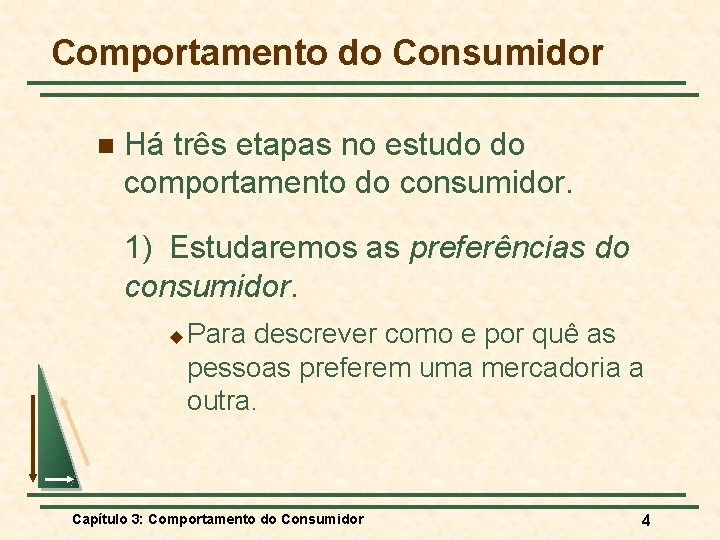 Comportamento do Consumidor n Há três etapas no estudo do comportamento do consumidor. 1)