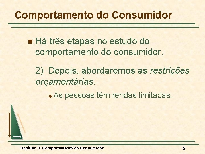 Comportamento do Consumidor n Há três etapas no estudo do comportamento do consumidor. 2)