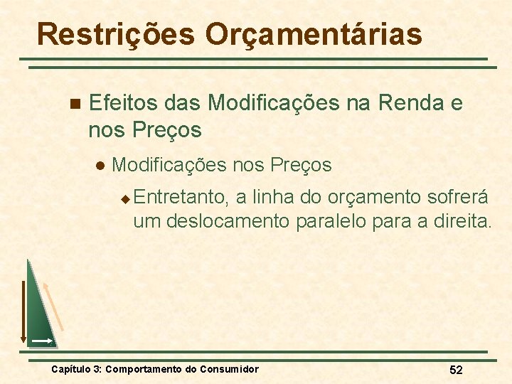 Restrições Orçamentárias n Efeitos das Modificações na Renda e nos Preços l Modificações nos