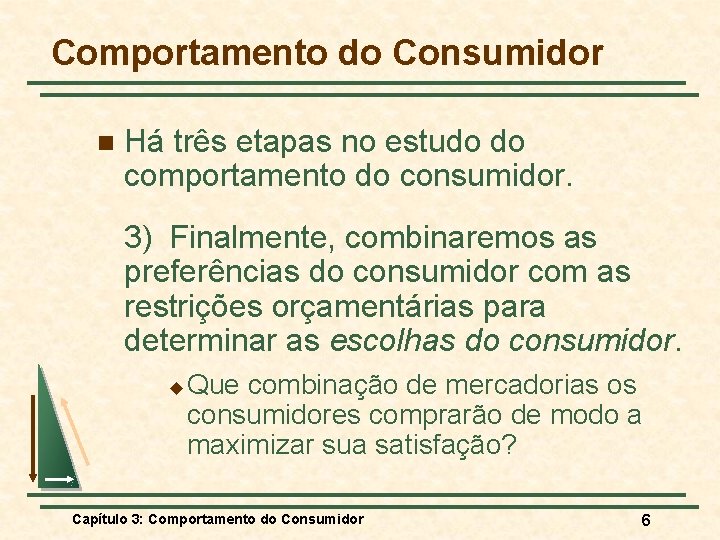Comportamento do Consumidor n Há três etapas no estudo do comportamento do consumidor. 3)