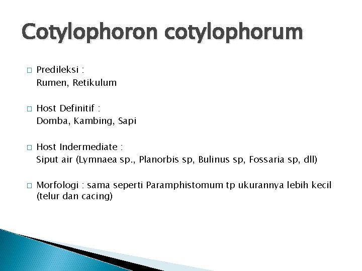 Cotylophoron cotylophorum � � Predileksi : Rumen, Retikulum Host Definitif : Domba, Kambing, Sapi