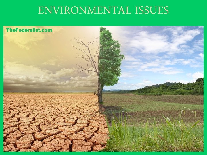 ENVIRONMENTAL ISSUES The. Federalist. com 