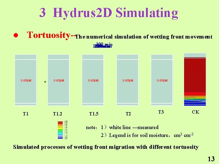 3 Hydrus 2 D Simulating l Tortuosity--The numerical simulation of wetting front movement 300