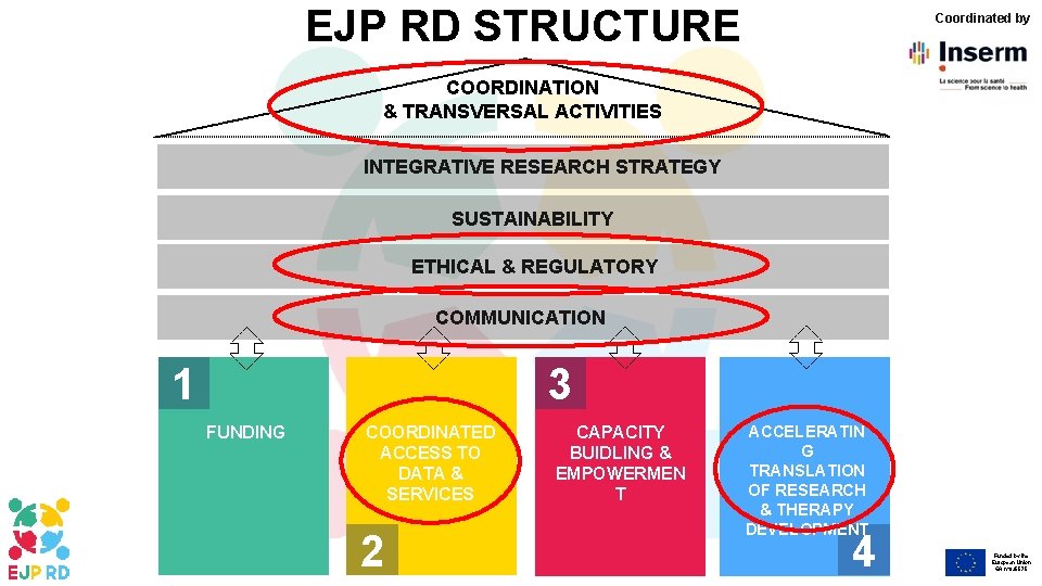 EJP RD STRUCTURE Coordinated by COORDINATION & TRANSVERSAL ACTIVITIES INTEGRATIVE RESEARCH STRATEGY SUSTAINABILITY ETHICAL