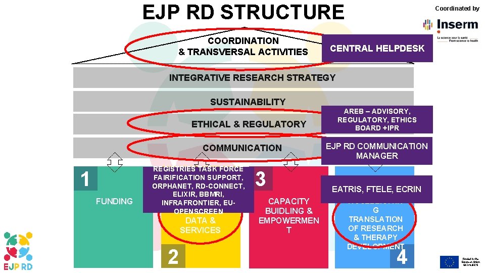 EJP RD STRUCTURE COORDINATION & TRANSVERSAL ACTIVITIES Coordinated by CENTRAL HELPDESK INTEGRATIVE RESEARCH STRATEGY