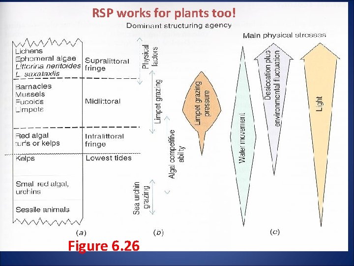 RSP works for plants too! Figure 6. 26 