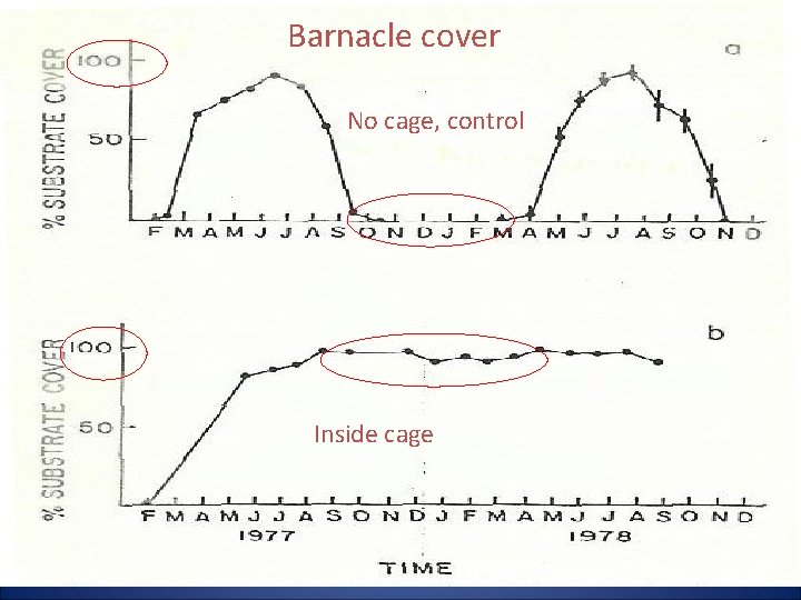 Barnacle cover No cage, control Inside cage (months) 