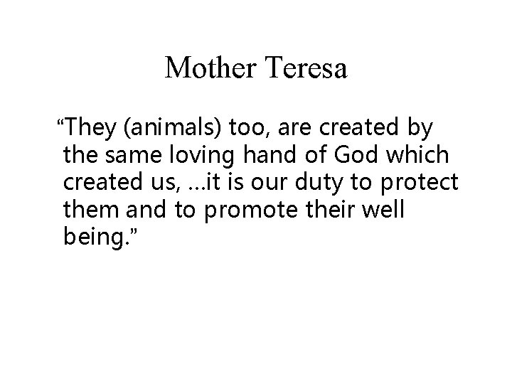 Mother Teresa “They (animals) too, are created by the same loving hand of God