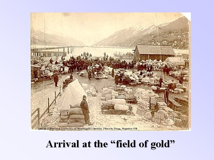 Arrival at the “field of gold” 