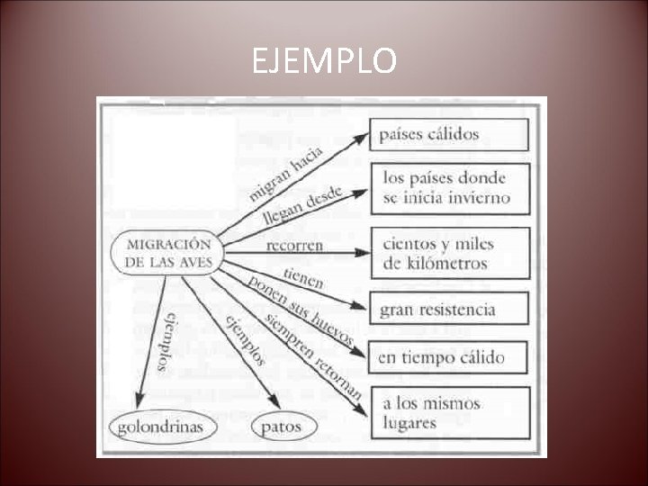 EJEMPLO 