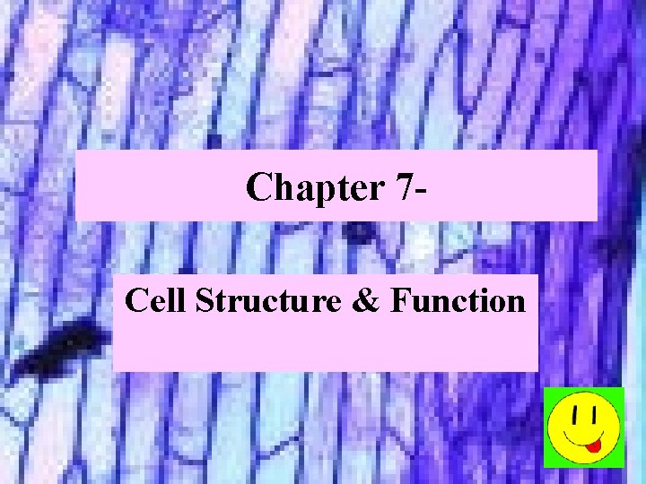 Chapter 7 Cell Structure Function I Life is
