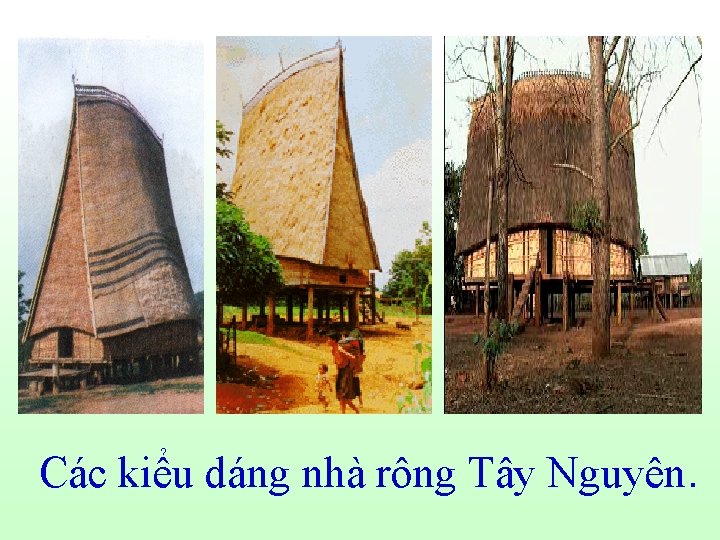 Các kiểu dáng nhà rông Tây Nguyên. 