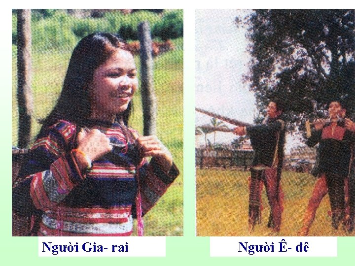 Người Gia- rai Người Ê- đê 