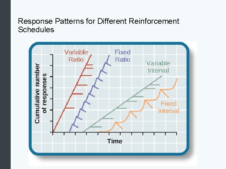 Response Patterns for Different Reinforcement Schedules 