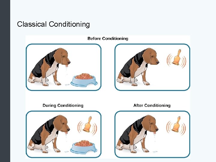 Classical Conditioning 
