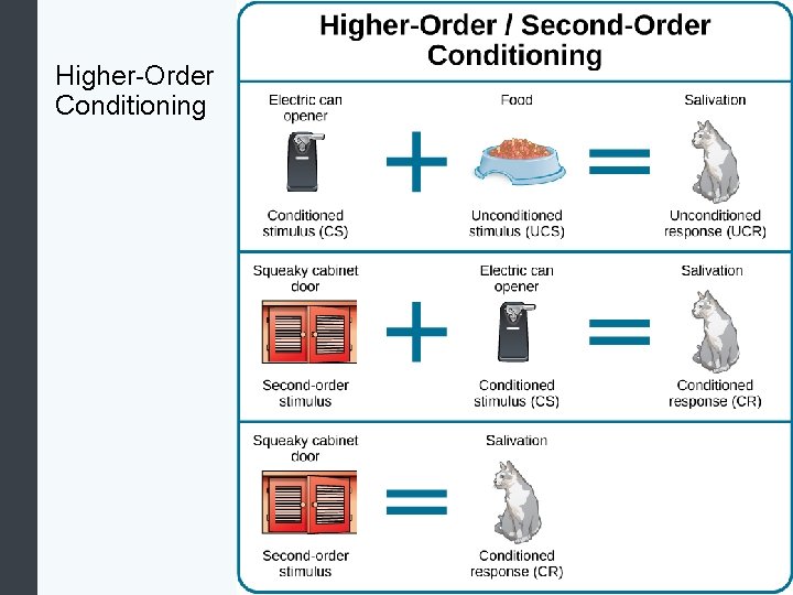 Higher-Order Conditioning 