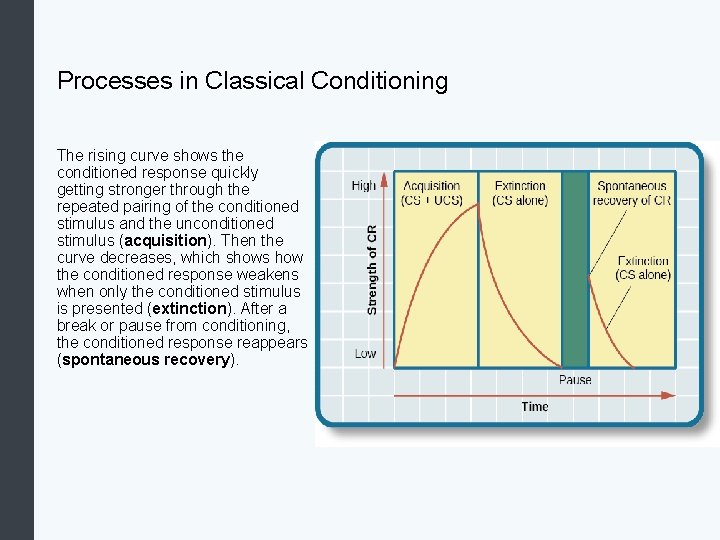 Processes in Classical Conditioning The rising curve shows the conditioned response quickly getting stronger