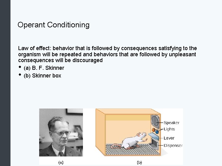 Operant Conditioning Law of effect: behavior that is followed by consequences satisfying to the