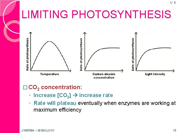 U. 6 LIMITING PHOTOSYNTHESIS � CO 2 concentration: ◦ Increase [CO 2] increase rate