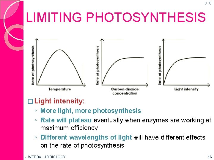 U. 6 LIMITING PHOTOSYNTHESIS � Light intensity: ◦ More light, more photosynthesis ◦ Rate