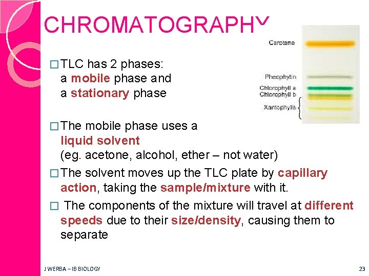 CHROMATOGRAPHY � TLC has 2 phases: a mobile phase and a stationary phase �