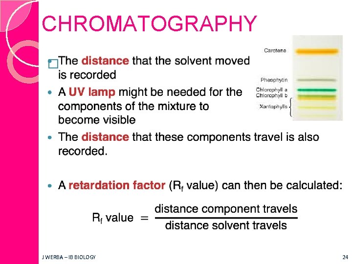 CHROMATOGRAPHY � J WERBA – IB BIOLOGY 24 