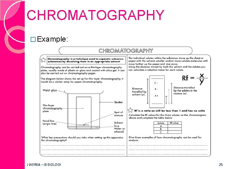 CHROMATOGRAPHY � Example: J WERBA – IB BIOLOGY 25 