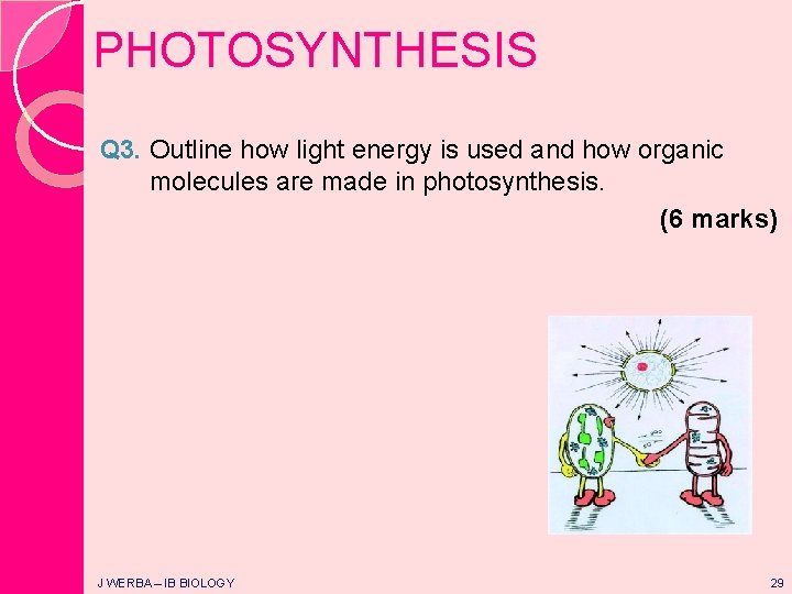 PHOTOSYNTHESIS Q 3. Outline how light energy is used and how organic molecules are