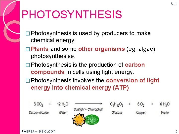 U. 1 PHOTOSYNTHESIS � Photosynthesis is used by producers to make chemical energy. �