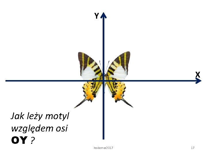 Y X Jak leży motyl względem osi OY ? kodemar 2017 17 