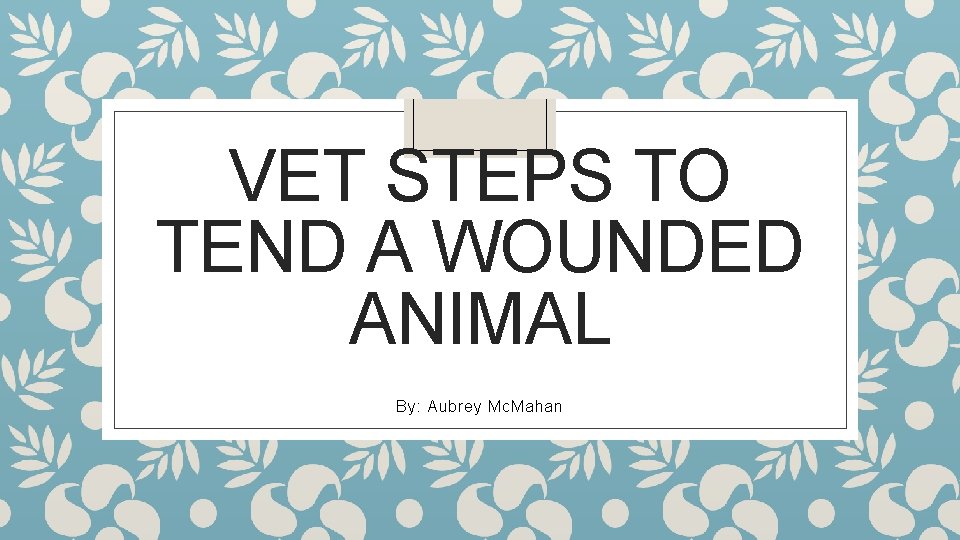 VET STEPS TO TEND A WOUNDED ANIMAL By: Aubrey Mc. Mahan 