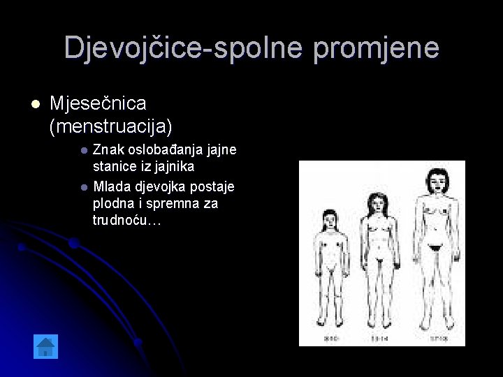 Djevojčice-spolne promjene l Mjesečnica (menstruacija) Znak oslobađanja jajne stanice iz jajnika l Mlada djevojka