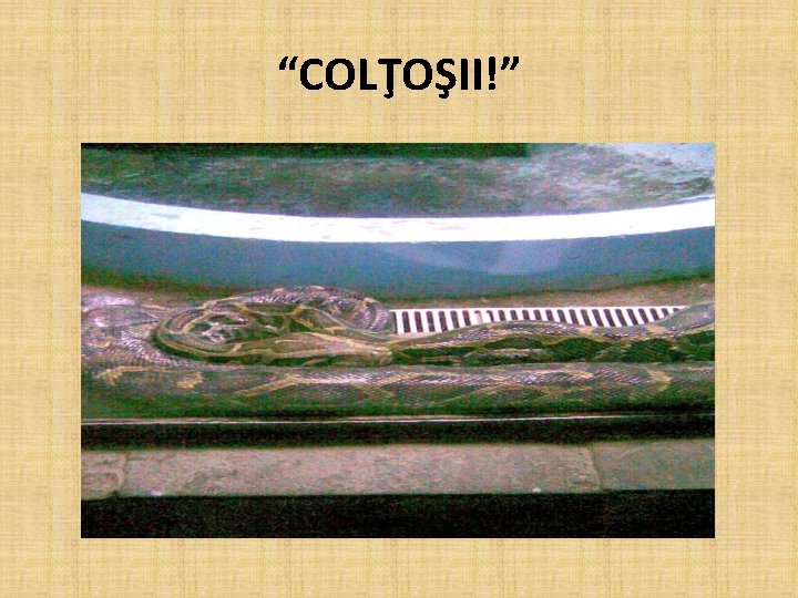 “COLŢOŞII!” 