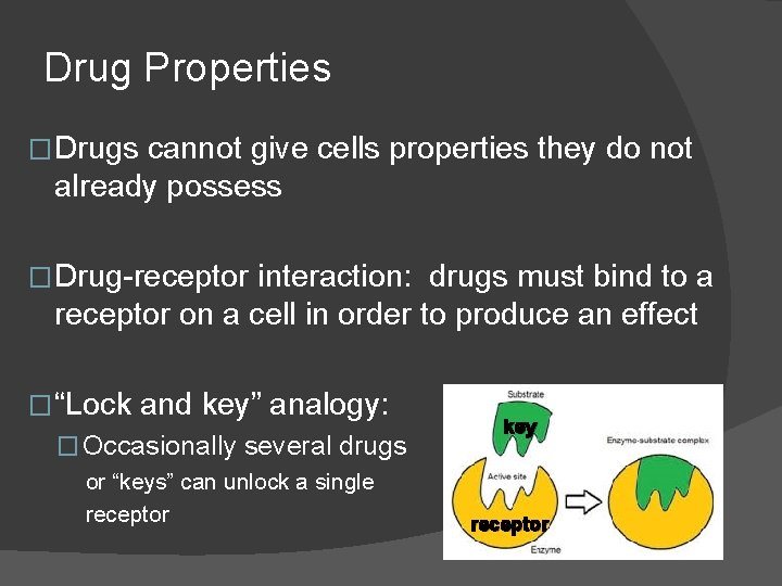 Drug Properties � Drugs cannot give cells properties they do not already possess � Drug Properties � Drugs cannot give cells properties they do not already possess �