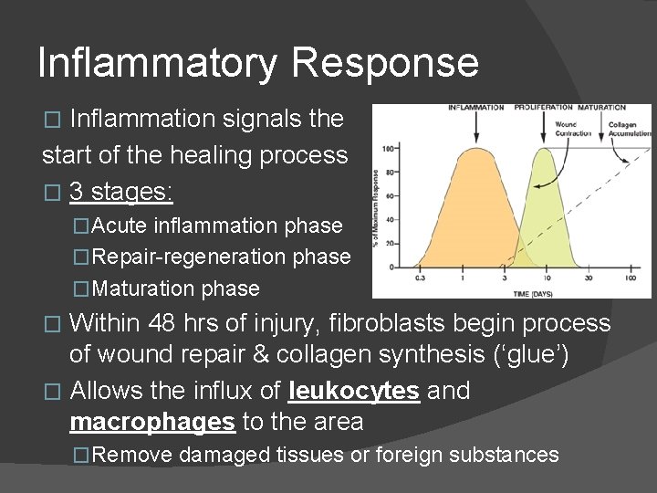 Inflammatory Response Inflammation signals the start of the healing process � 3 stages: � Inflammatory Response Inflammation signals the start of the healing process � 3 stages: �