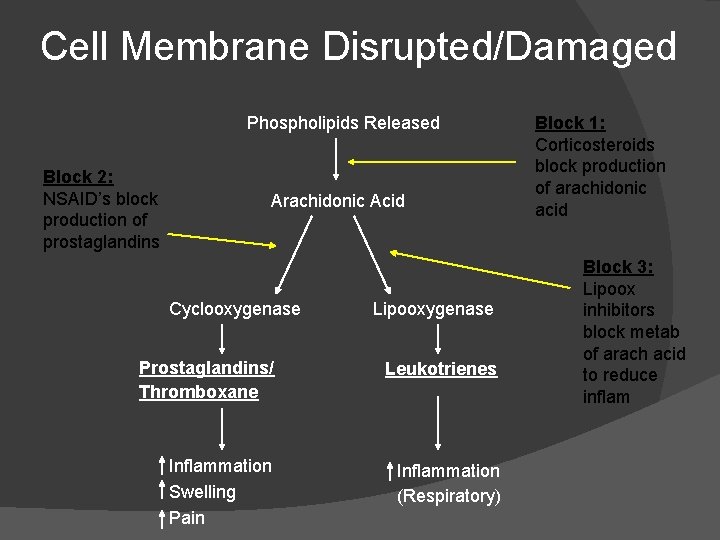 Cell Membrane Disrupted/Damaged Phospholipids Released Block 2: NSAID’s block production of prostaglandins Arachidonic Acid Cell Membrane Disrupted/Damaged Phospholipids Released Block 2: NSAID’s block production of prostaglandins Arachidonic Acid