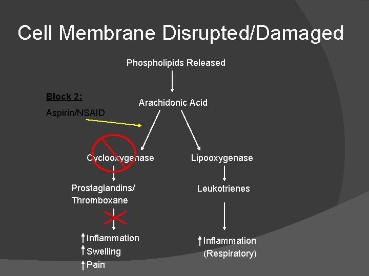 Cell Membrane Disrupted/Damaged Phospholipids Released Block 2: Arachidonic Acid Aspirin/NSAID Cyclooxygenase Prostaglandins/ Thromboxane Inflammation Cell Membrane Disrupted/Damaged Phospholipids Released Block 2: Arachidonic Acid Aspirin/NSAID Cyclooxygenase Prostaglandins/ Thromboxane Inflammation