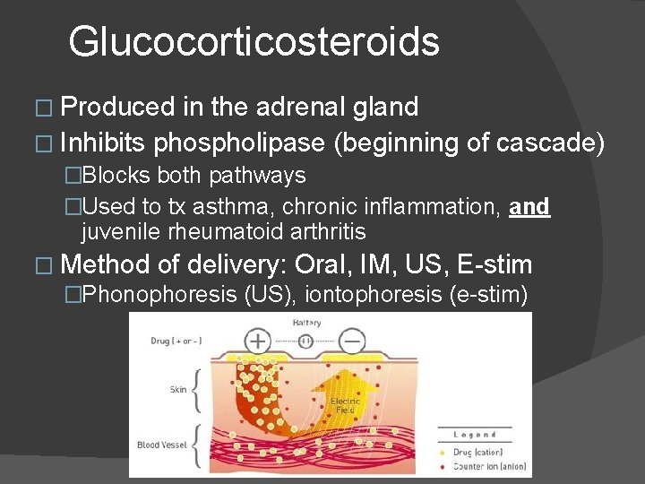 Glucocorticosteroids � Produced in the adrenal gland � Inhibits phospholipase (beginning of cascade) �Blocks Glucocorticosteroids � Produced in the adrenal gland � Inhibits phospholipase (beginning of cascade) �Blocks