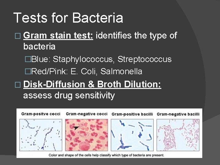 Tests for Bacteria � Gram stain test: identifies the type of bacteria �Blue: Staphylococcus, Tests for Bacteria � Gram stain test: identifies the type of bacteria �Blue: Staphylococcus,