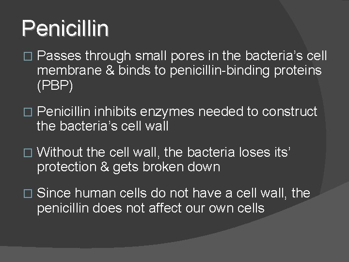 Penicillin � Passes through small pores in the bacteria’s cell membrane & binds to Penicillin � Passes through small pores in the bacteria’s cell membrane & binds to