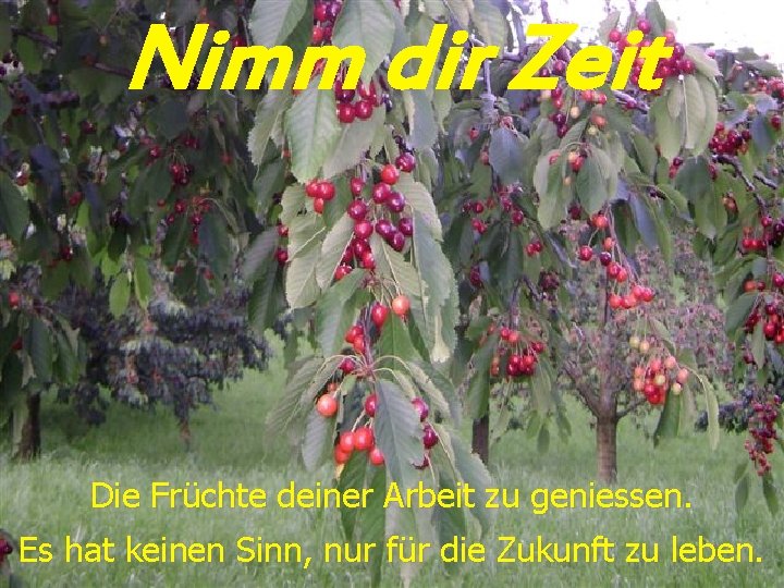 Nimm dir Zeit Die Früchte deiner Arbeit zu geniessen. Es hat keinen Sinn, nur